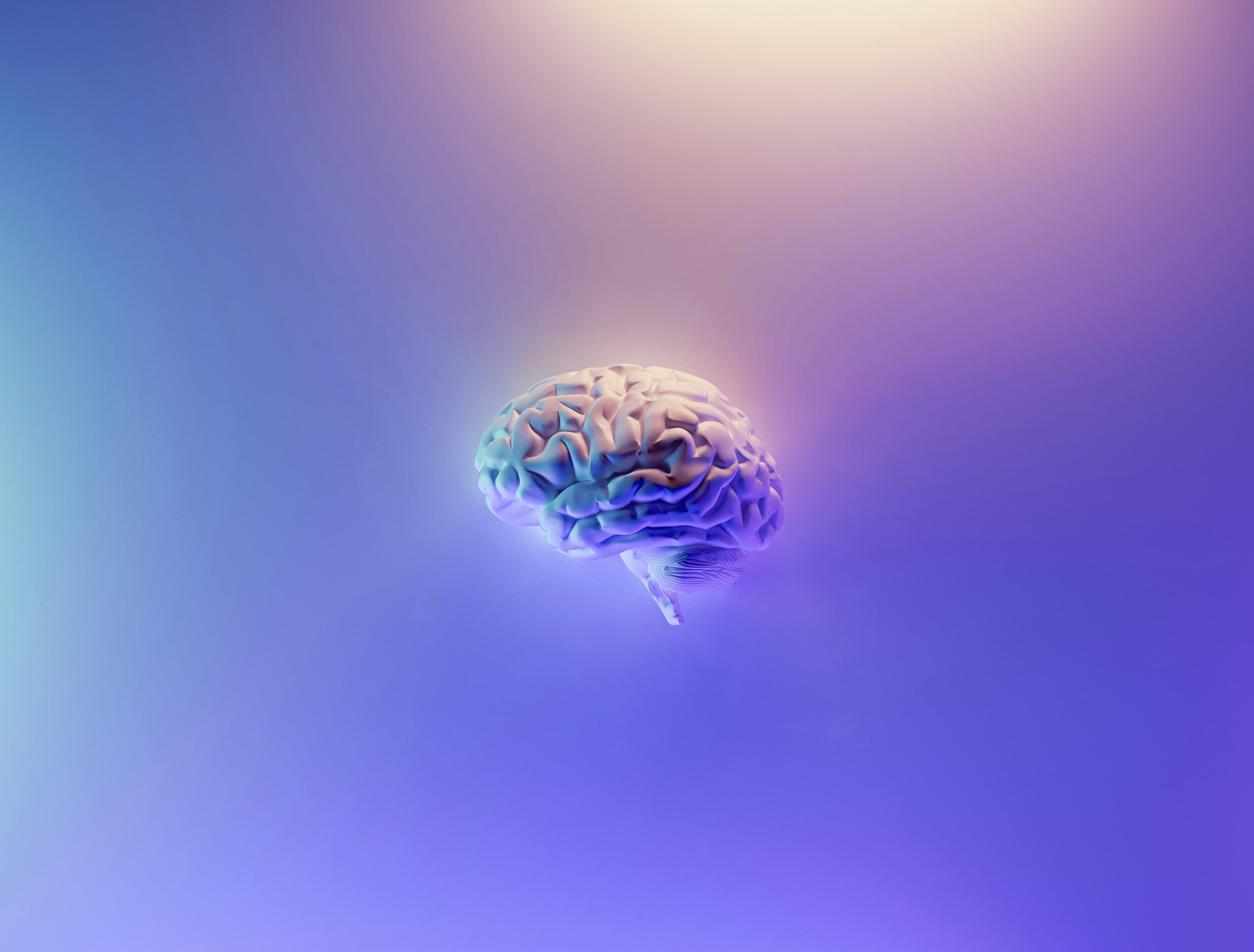 Soft matte brain in cool light — context ready before you ask.